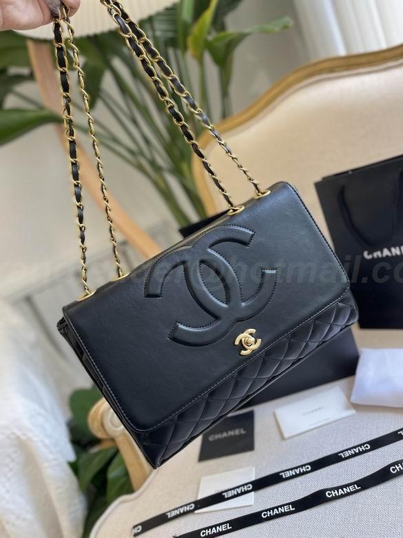 Chanel Handbags 18